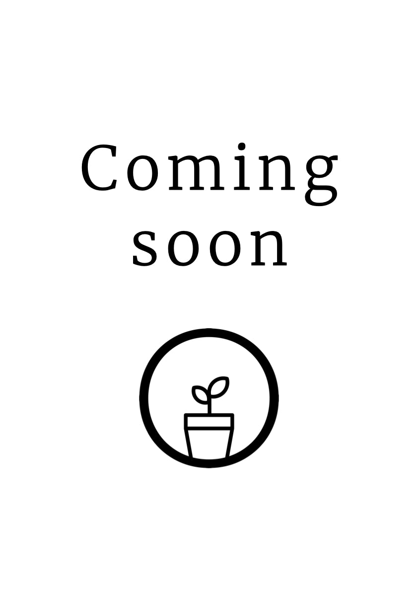 products/ComingSoon.001_e48cc3b8-ccc1-416c-aedd-82144f04737c.jpg